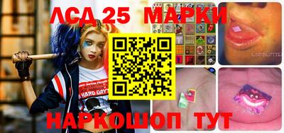 индика Можга