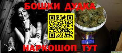 индика Можга