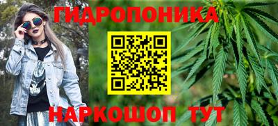 индика Можга