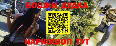 индика Можга