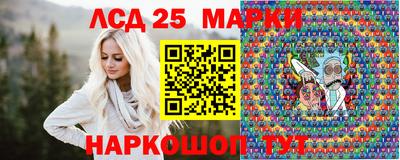 индика Можга