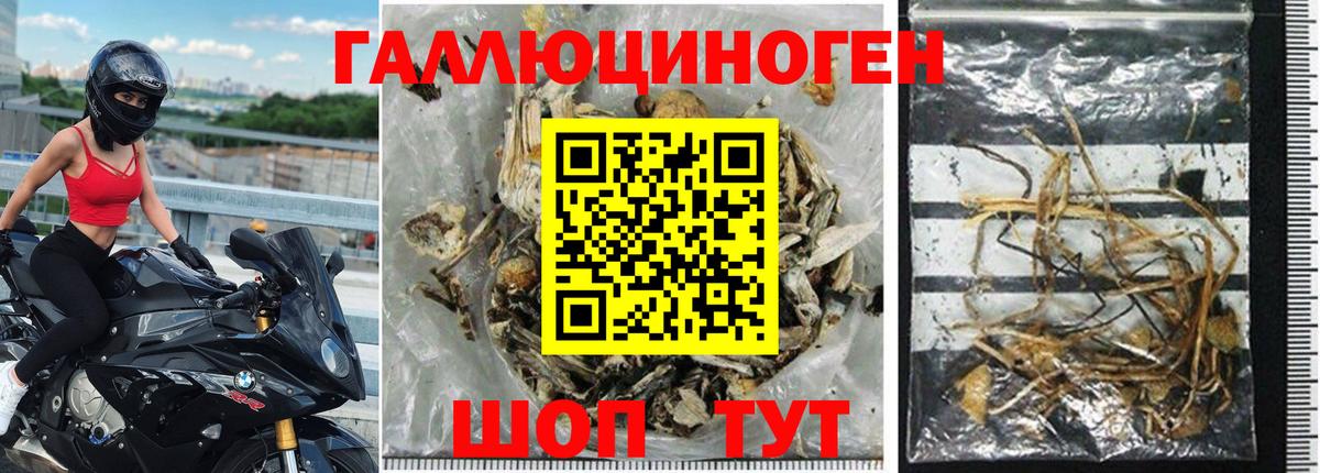 Галлюциногенные грибы Magic Shrooms  дарнет шоп  Галлюциногенные грибы GOLDEN TEACHER  Южноуральск  Вход с VPN 
