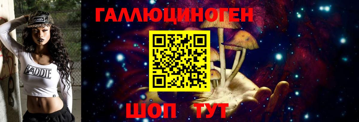 Псилоцибиновые грибы Psilocybe Южноуральск